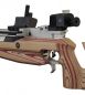 Preview: Feinwerkbau P75 Sommerbiathlon