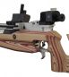 Feinwerkbau P75 Sommerbiathlon