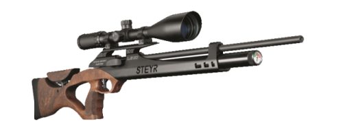 Steyr LG 110 High Power Hunting